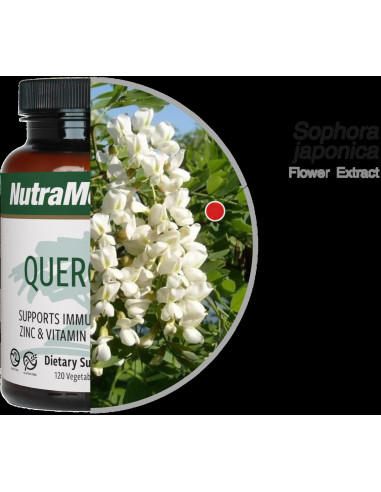 Quercetine - 120 Capsules - Nutramedix
