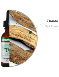 Teasel - 30 ml - Nutramedix 2