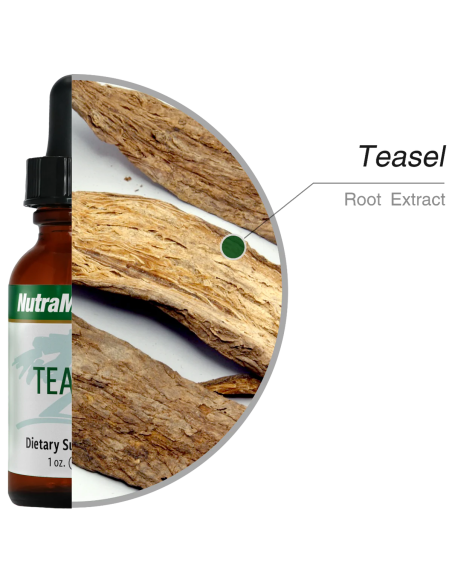 Teasel - 30 ml - Nutramedix