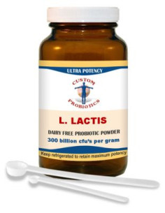L. Lactis Probiotic Powder - Custom Probiotics