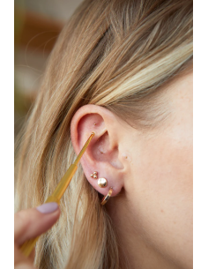 Kit de graines d’oreille plaquées or 24 carats | Graines... 2