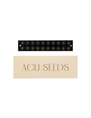 3-Monats-Gold-Nachfüllpackung | Acu Seeds