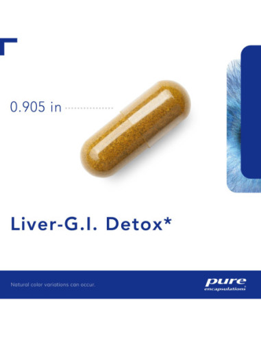 Liver-G.I. - 60 Capsules | Pure Encapsulations