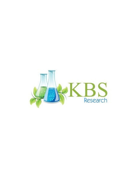 KBS Research