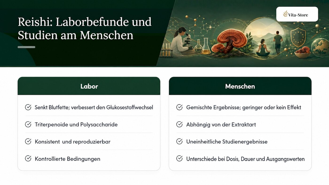 Was Labor- und Humanstudien über Reishi zeigen