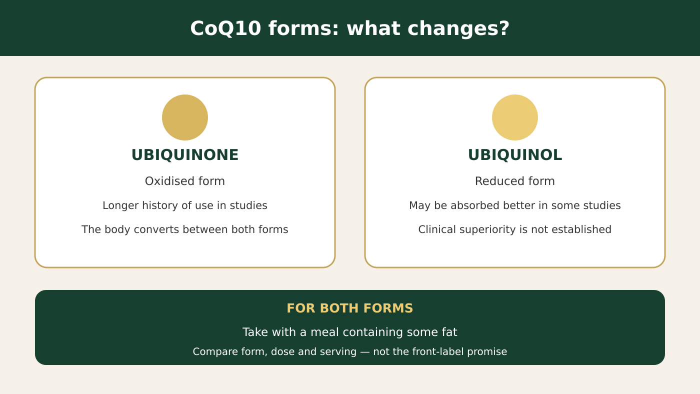 Ubiquinone and ubiquinol: practical CoQ10 form comparison
