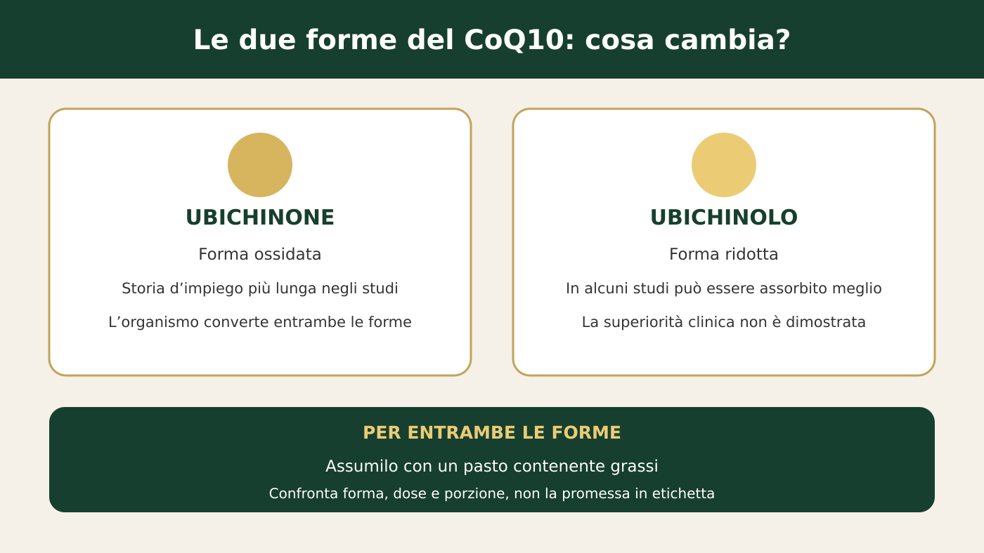 Ubichinone e ubichinolo: confronto tra le due forme di CoQ10