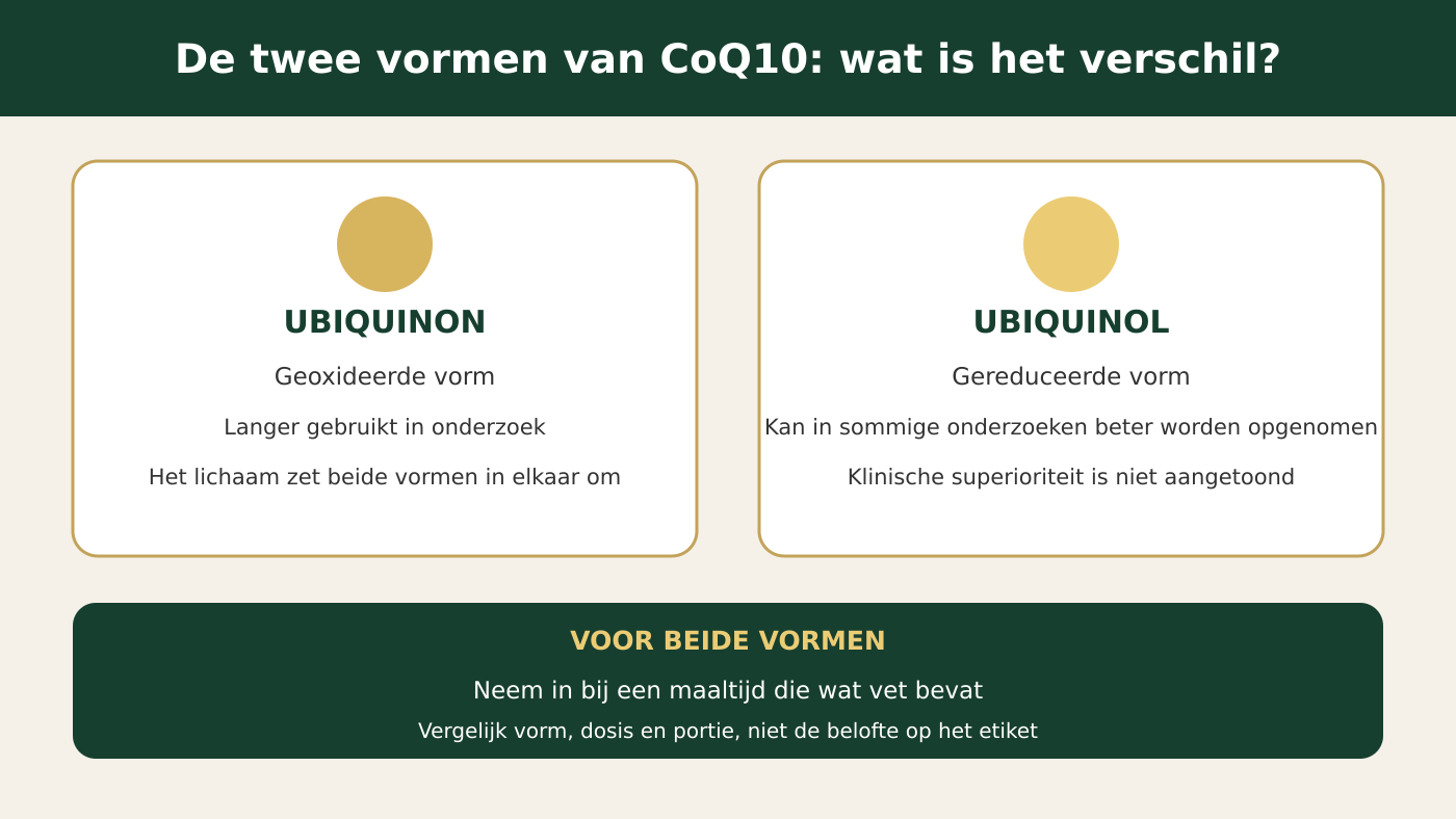 Ubiquinon en ubiquinol: vergelijking van de twee vormen van CoQ10