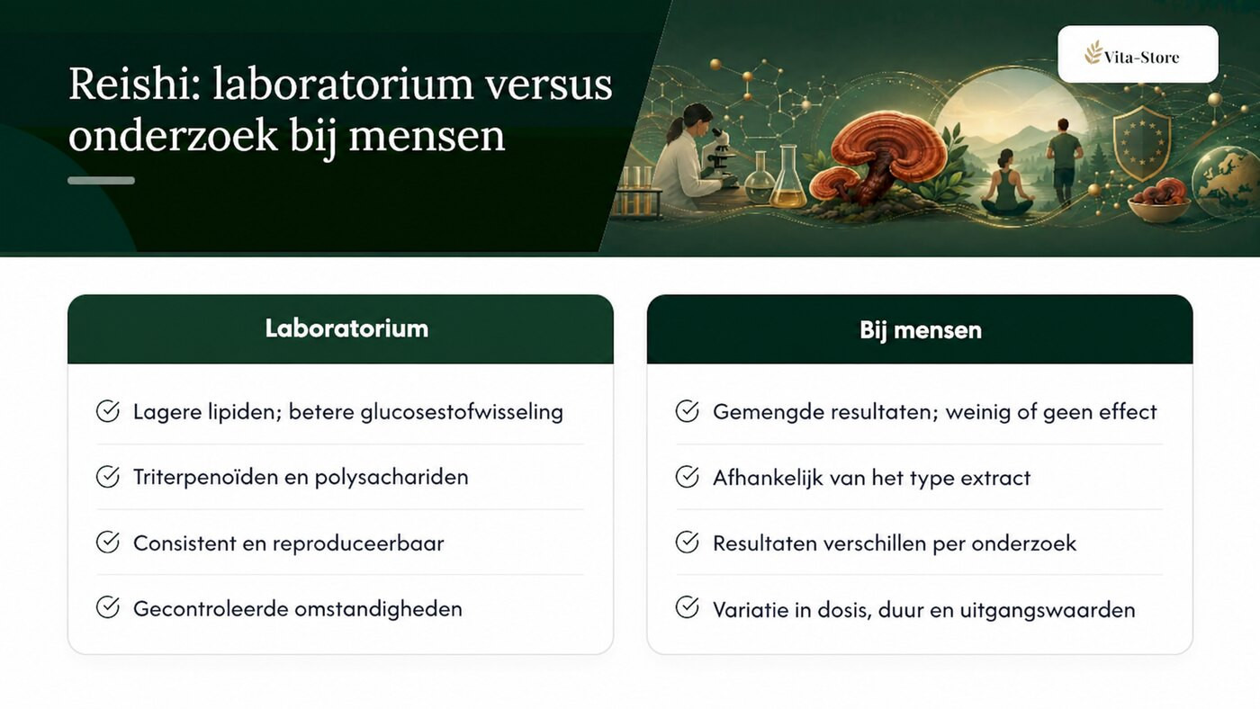 Wat laboratoriumonderzoek en studies bij mensen over reishi laten zien